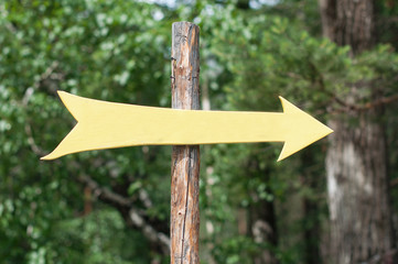 A pointer to the column in the woods