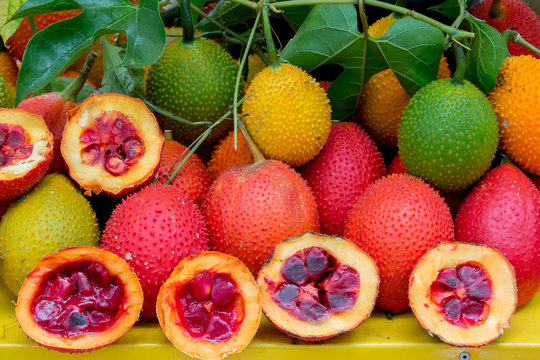 gac fruit healthy fruit