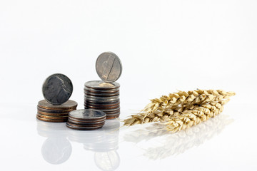 coins, wheat, wheat prices increase, rising cost of wheat, ears,