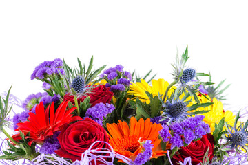 closeup thorn in the male flower bouquet, feverweed (Eryngium),