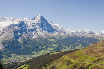 Fototapeta premium Grindelwald, Schweizer Berge, Alpen, Eiger, Eigernordwand, Kleine Scheidegg, Berner Oberland, First, Wanderweg, Sommer, Schweiz