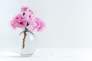 Pink Blossom styled stock photography with white copy space for your own business message, promotion, headline, great for blogging and social media