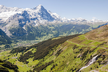 Fototapeta na wymiar Grindelwald, Alpen, Schweizer Berge, Berner Oberland, Waldspitz, First, Wanderweg, Eiger, Eigernordwand, Sommer, Schweiz
