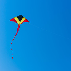 kite flying on sky