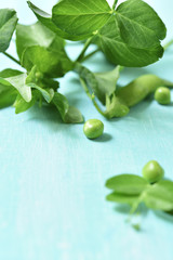 Young green pea.