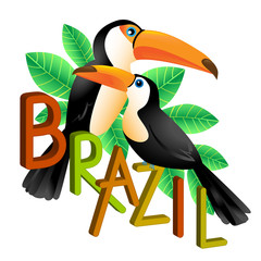 Two colorful toucans sitting on a branch. Brazil