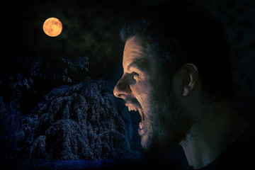 Mann schreit um Mitternacht bei Vollmond