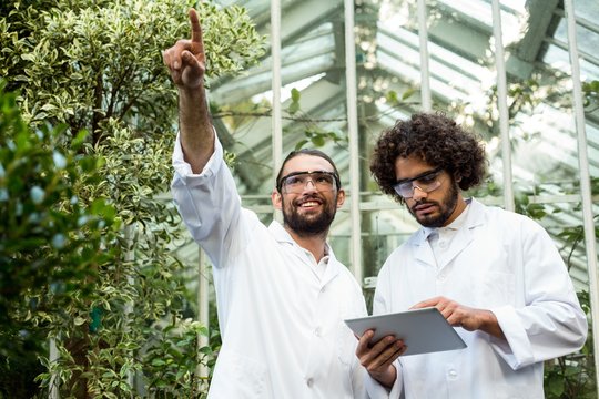 Male scientist pointing while colleague using digital tablet
