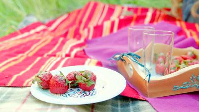 Summer picnic with straberry and milk