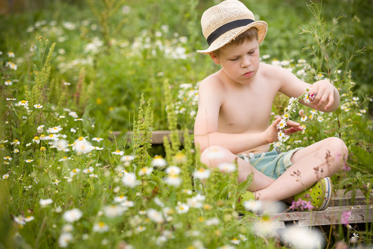 Portrait of cute kid boy sitting on chamomile meadow and making flower wreath on sunny day. Child walking outdoors. Summer concept
