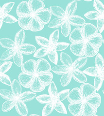 vector floral background with frangipani