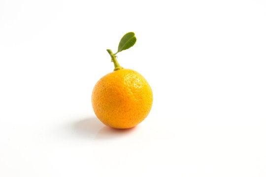 Orange Kumquat placed on whte background