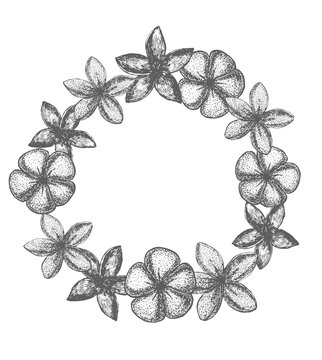 vector frangipani garland