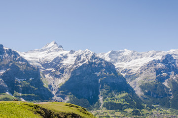 Fototapeta premium Grindelwald, Alpen, Berner Oberland, Dorf, Schreckhorn, First, Wetterhorn, Grindelwaldgletscher, Wanderferien, Wanderweg, Sommer, Schweiz