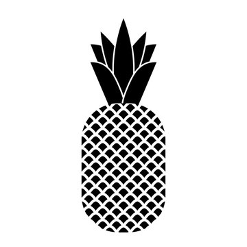 Pineapple tropical fruit.