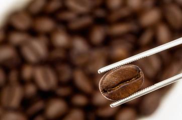 Specialty roasted coffee beans