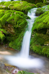 small mountain stream