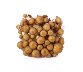 Brown beech mushrooms isolated on white background