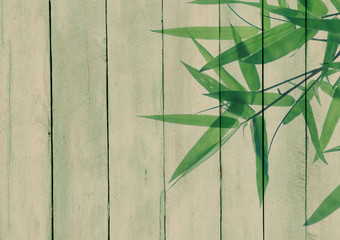 Wood background with bamboo leaves pasted