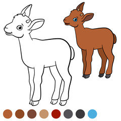 Color me: ibex. Little cute baby ibex smiles.