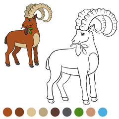 Color me: ibex. Cute ibex with great horns.