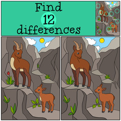 Educational game: Find differences. Mother ibex with her little