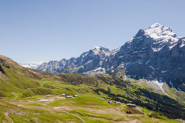 Fototapeta premium Grindelwald, Dorf, Bergdorf, Grosse Scheidegg, Berner Oberland, Wetterhorn, Engelhörner, Rosenlaui, Schreckfeld, Wanderweg, Sommer, Schweizer Berge, Schweiz