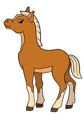 Cartoon farm animals. Little cute foal.