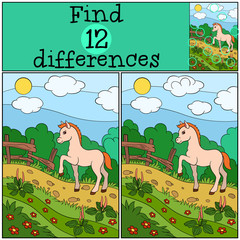 Children games: Find differences. Little cute foal.