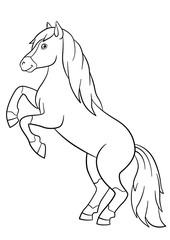 Fototapeta premium Coloring pages. Farm animals. Beautiful horse.