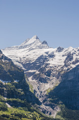 Fototapeta na wymiar Grindelwald, Berner Oberland, Schreckhorn, Grindelwaldgletscher, Schlucht, Gletscher, Alpen, Grosse Scheidegg, Schweizer Berge, Sommer, Schweiz