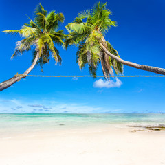 corde tendue entre deux cocotiers penchés sur plage des îles