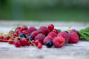 fresh organic berries. raspberries, blueberries, red currants 