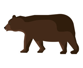 Bear cartoon animal isolated in white background, vector illustration.