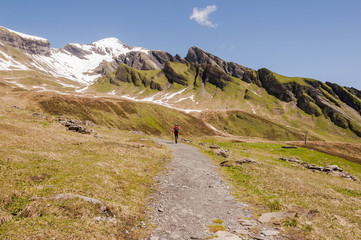 Fototapeta premium Grindelwald, Alpen, Berner Oberland, First, Schreckfeld, Schwarzhorn, Wanderweg, Grosse Scheidegg, Schweizer Berge, Sommer, Schweiz