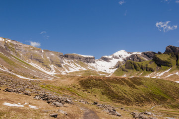 Grindelwald, Berner Oberland, Schwarzhorn, Alpen, First, Schreckfeld, Höhenweg, Grosse Scheidegg, Schweizer Berge, Sommer, Schweiz