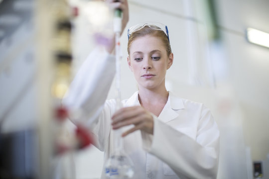Young woman working in lab
