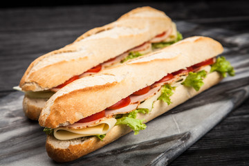 Panini grilled sandwich