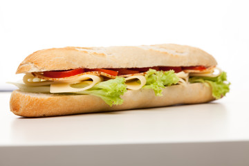 Panini grilled sandwich