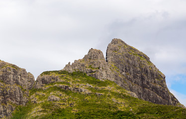 Bergkette auf Mauritius mit Zuckerrohrfeld
