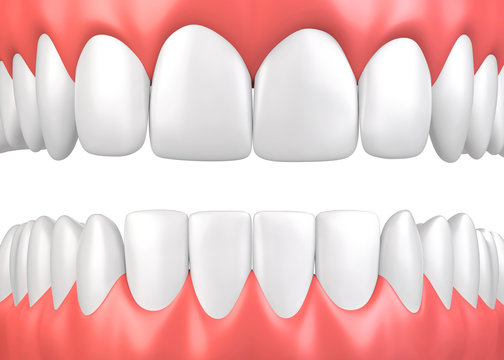 3D Illustration Teeth And Gum Model.