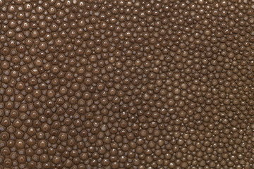 Genuine stingray skin closeup. Super macro