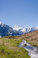 Fototapeta na wymiar Grindelwald, Alpen, Berner Oberland, Wetterhorn, Schreckhorn, Grosse Scheidegg, Höhenweg, Bergbach, Sommer, Schweiz