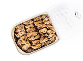 mussels canned