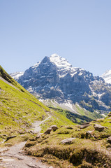 Fototapeta na wymiar Grindelwald, Berner Oberland, Alpen, Grosse Scheidegg, Wetterhorn, Wanderweg, Höhenweg, Schweizer Alpen, Sommerwanderung, Schweiz