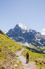 Fototapeta na wymiar Grindelwald, Berner Oberland, Grosse Scheidegg, Wetterhorn, Alpen, Schweizer Berge, Wanderweg, Wanderer, Sommer, Schweiz