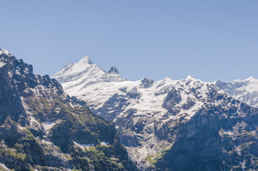 Grindelwald, Alpen, Berner Oberland, Schreckhorn, Grindelwaldgletscher, Fiescherhörner, Finsteraarhorn, Schweizer Berge, Sommer, Schweiz