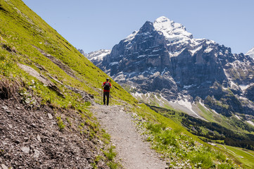 Fototapeta na wymiar Grindelwald, Berner Oberland, Alpen, Schweizer Berge, Wetterhorn, Grosse Scheidegg, Wanderweg, Wanderer, Sommer, Schweiz