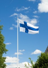 Flag of Finland on sky background.   © Elena Noeva