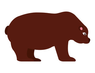 stock bear isolated icon design